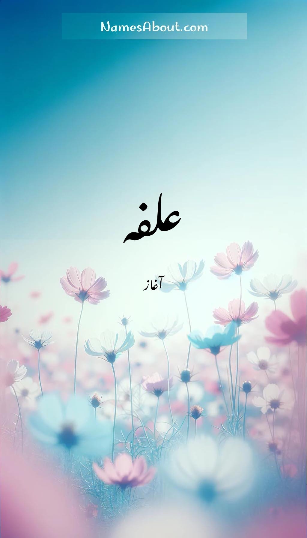 علفہ