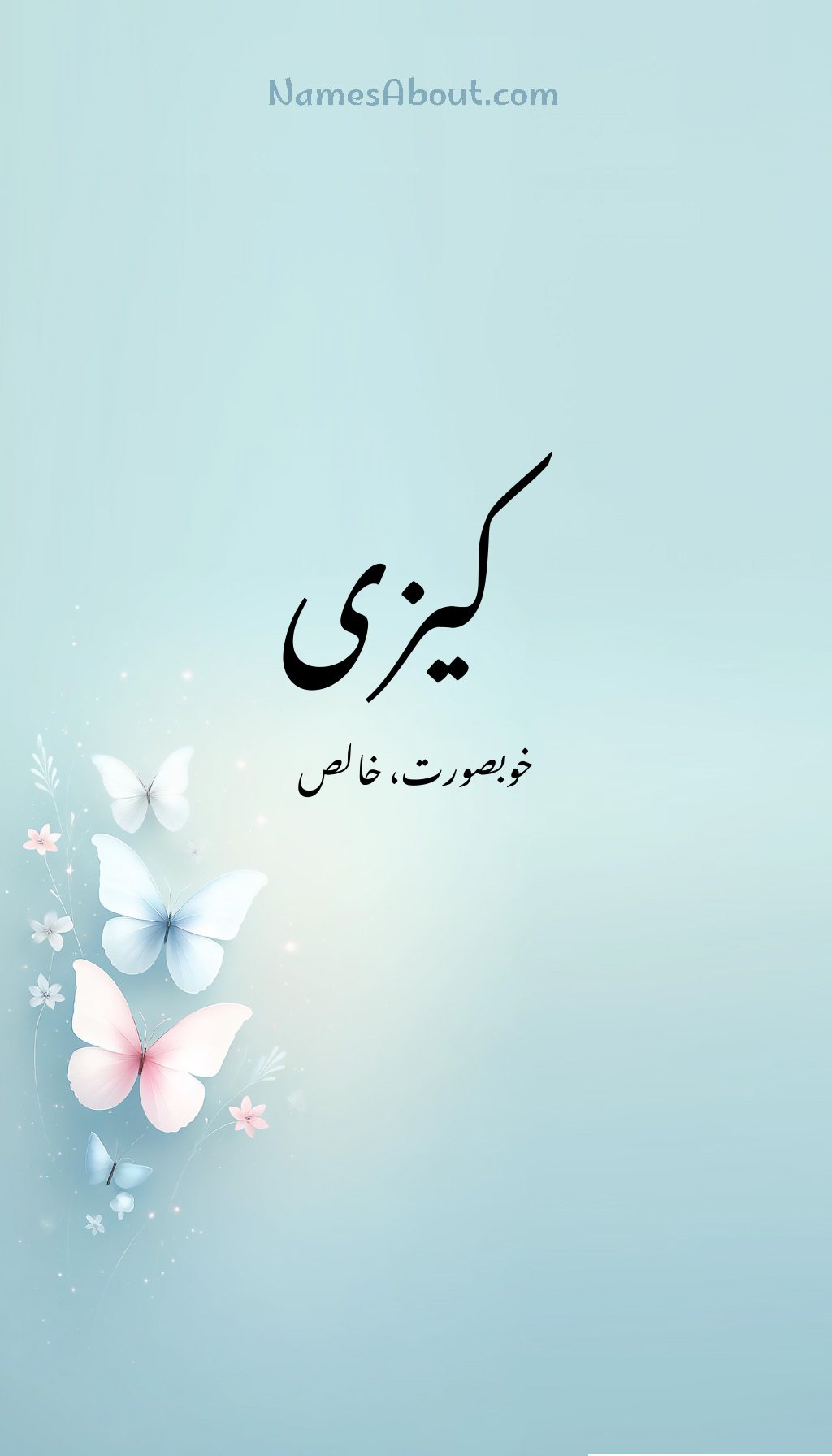 کیزی