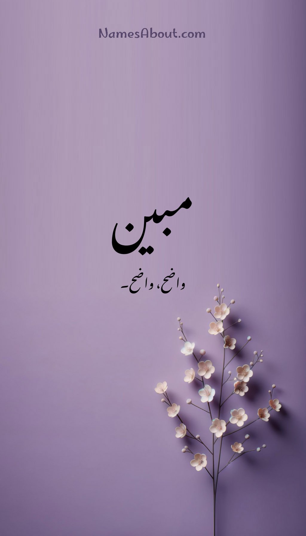 مبین