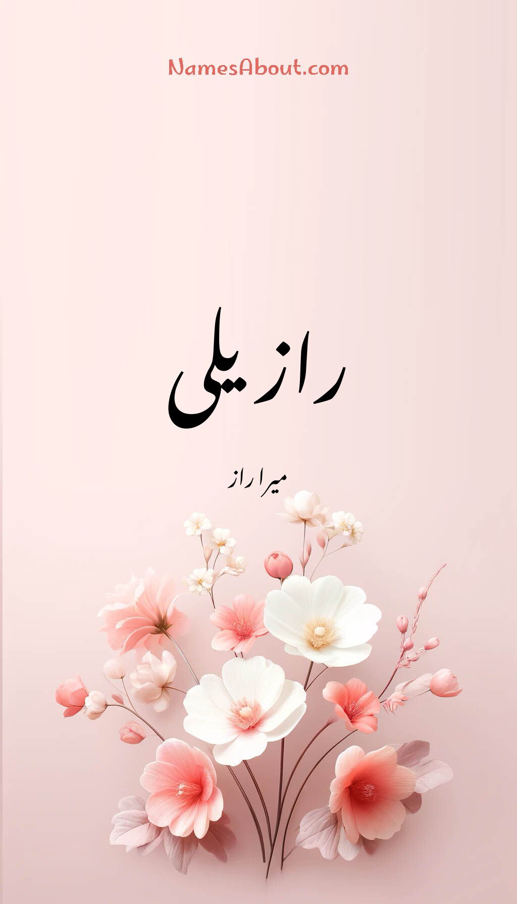 رازیلی