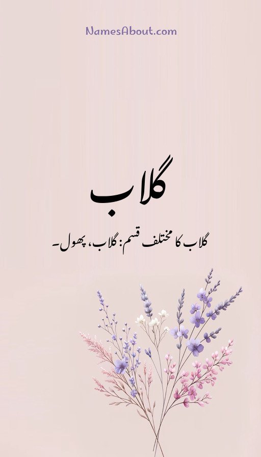 گلاب