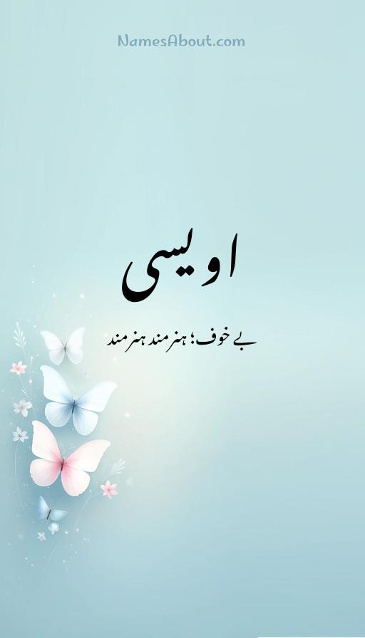 اویسی