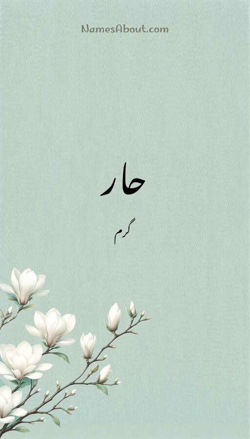حار