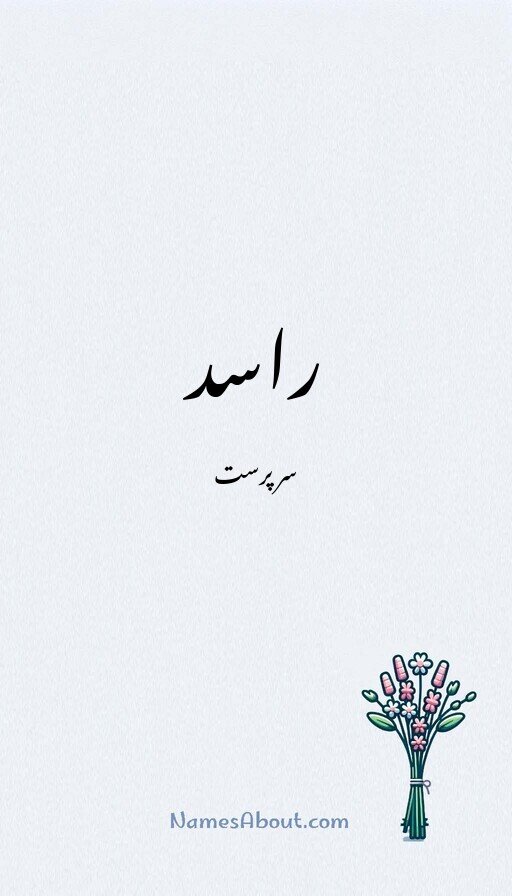 راسد