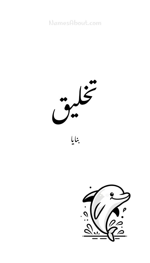 تخلیق