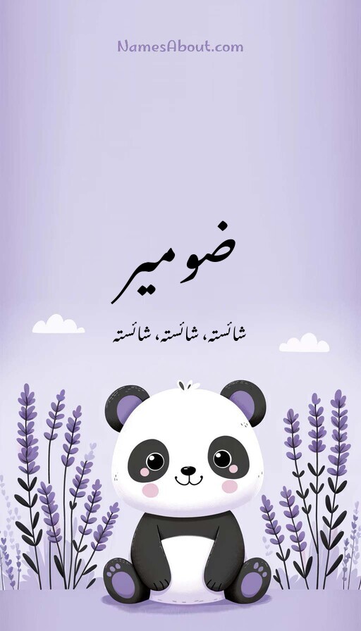 ضومیر