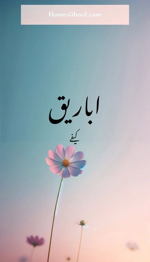 اباریق