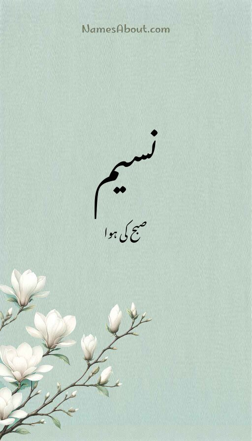 نسیم