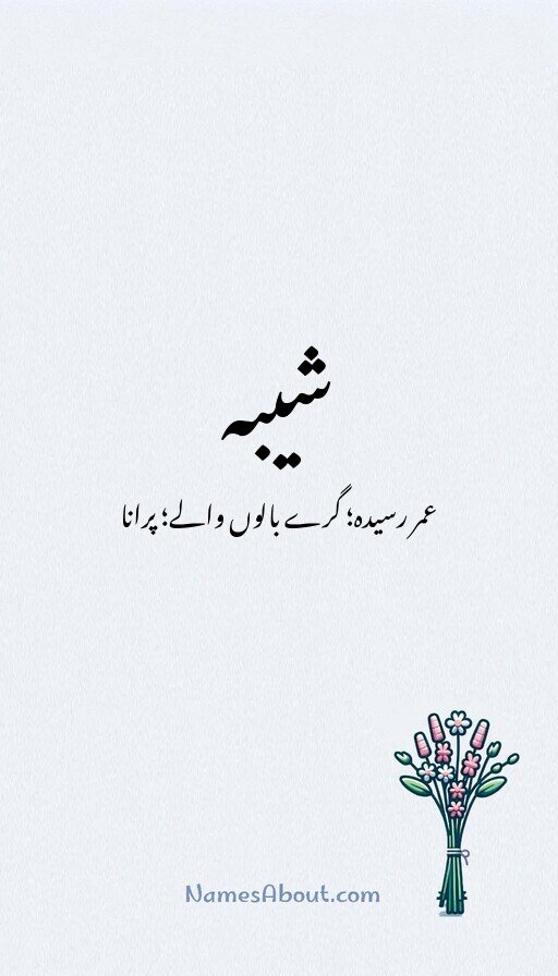 شیبہ