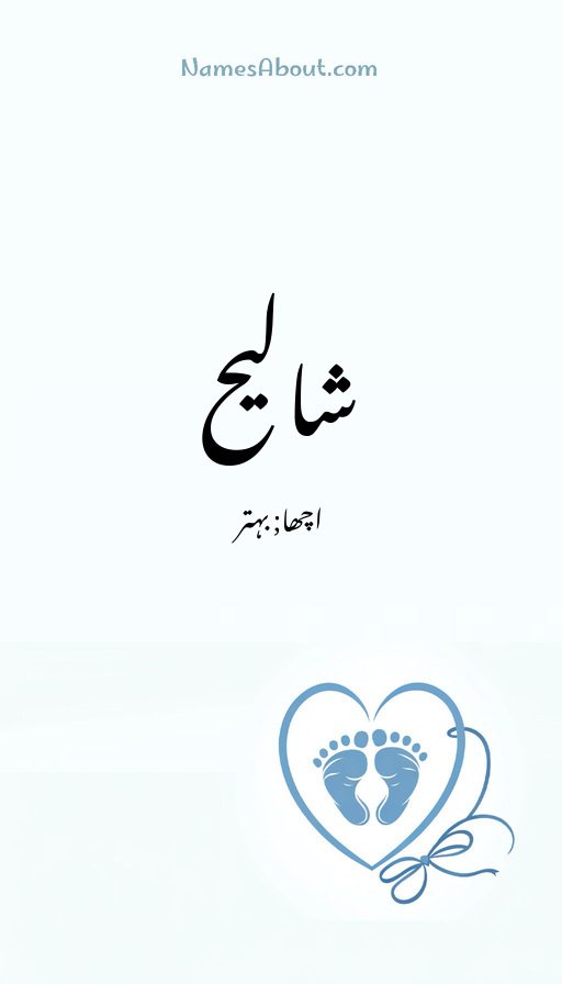 شالیح