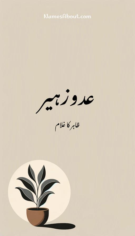 عدوزہیر