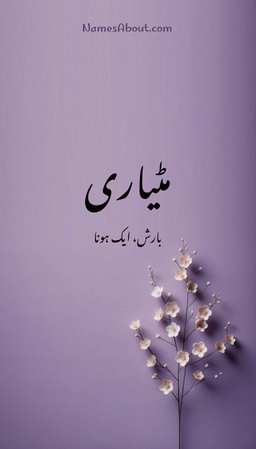 مٹیاری