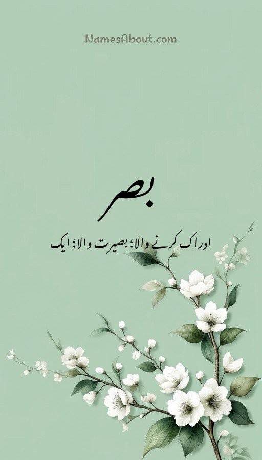 بصر