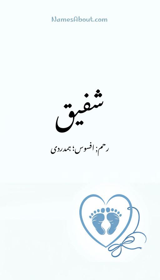 شفیق