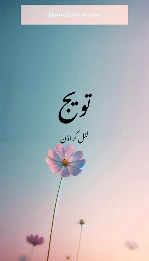 تویج