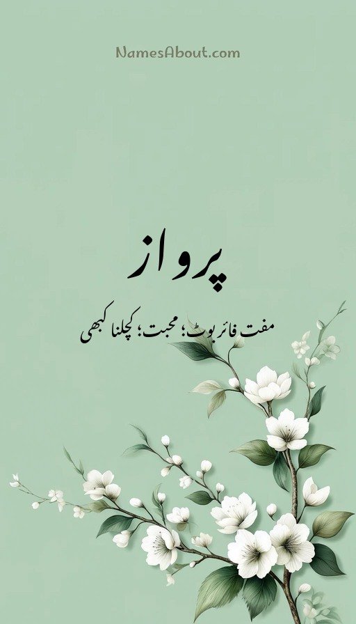 پرواز