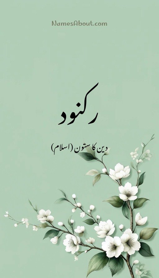 رکنود