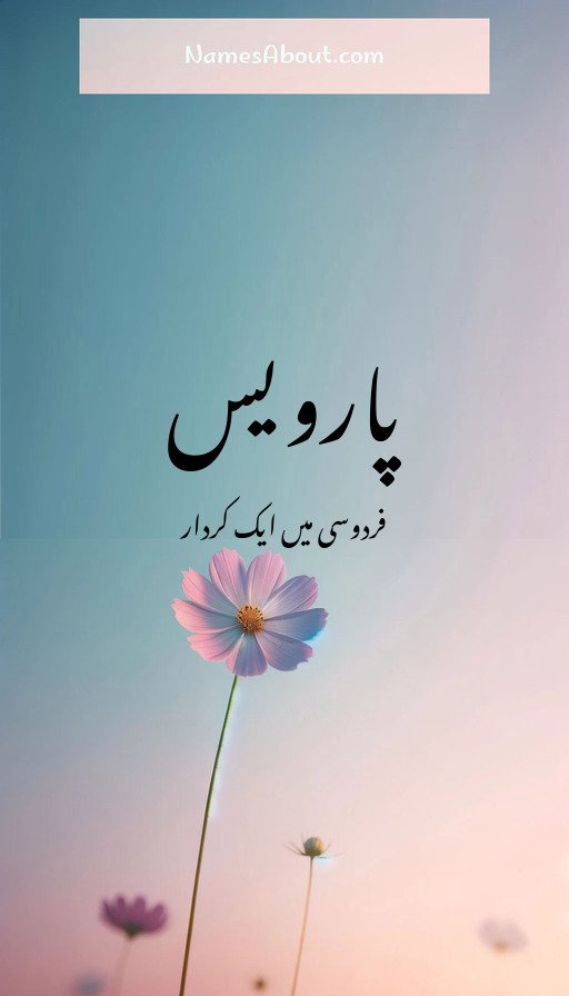 پارویس