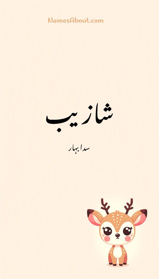 شازیب