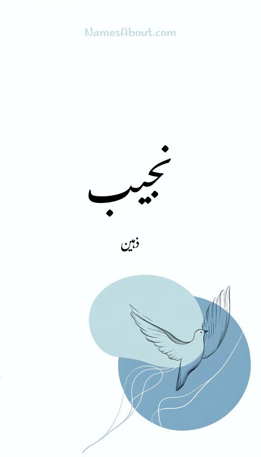 نجیب