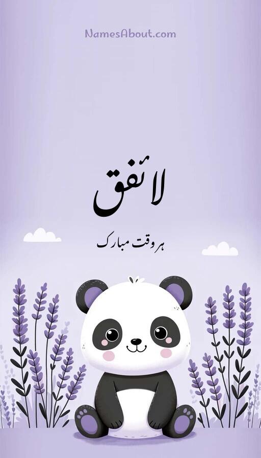 لائفق