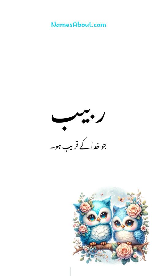 ربیب