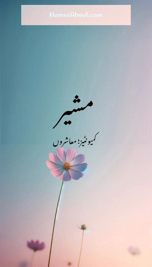 مشیر