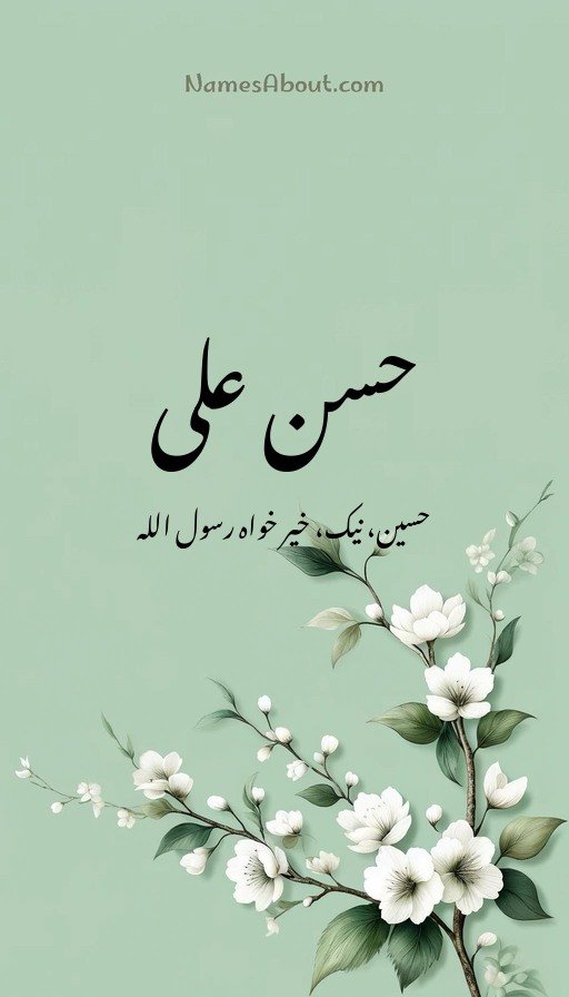 حسن علی