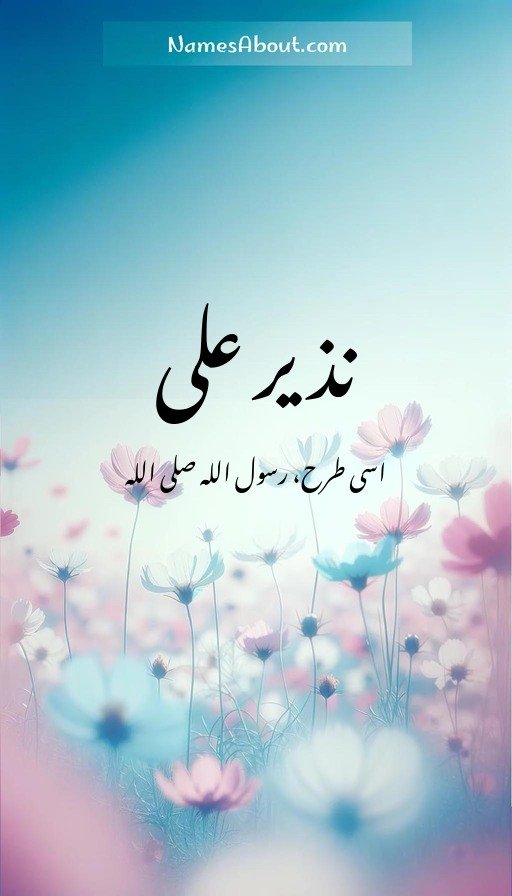 نذیر علی