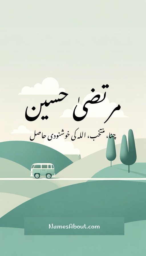 مرتضیٰ حسین