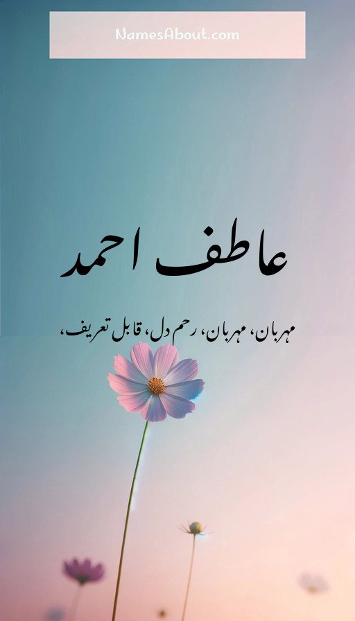 عاطف احمد
