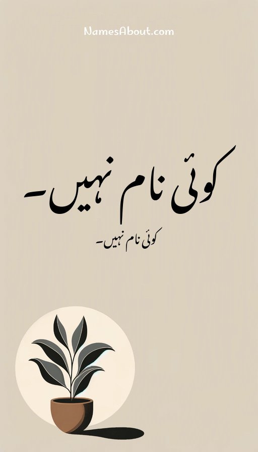 کوئی نام نہیں۔