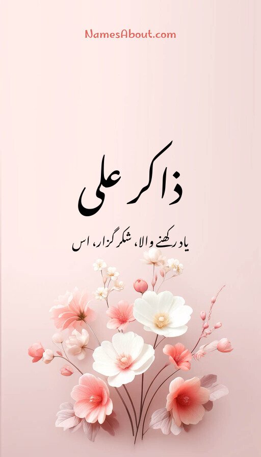 ذاکر علی