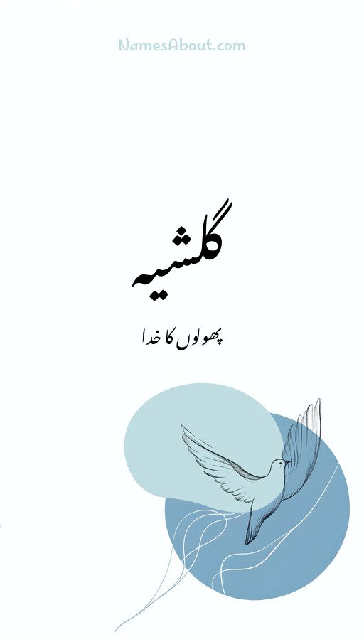 گلشیہ