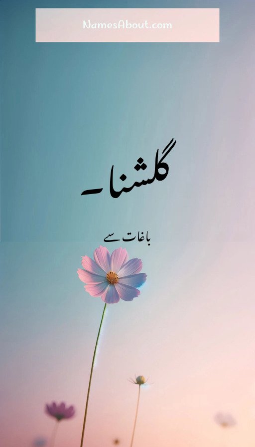 گلشنا۔