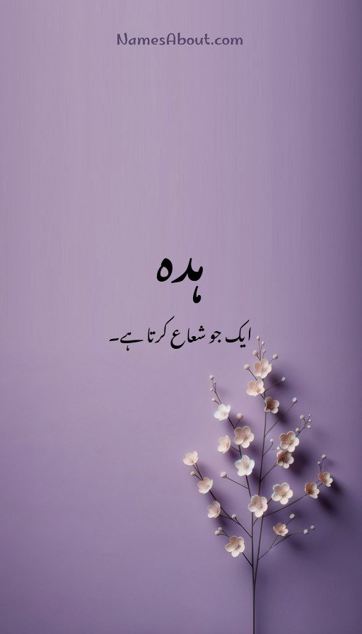 ہدہ