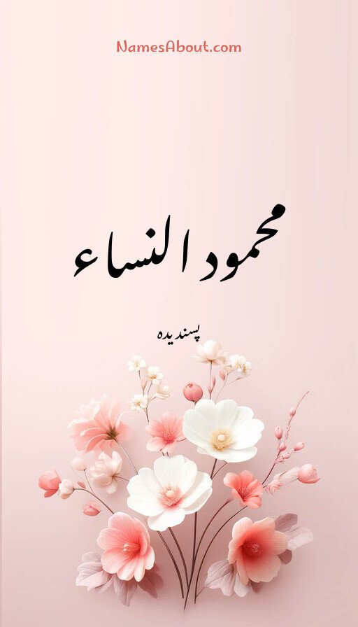 محمود النساء