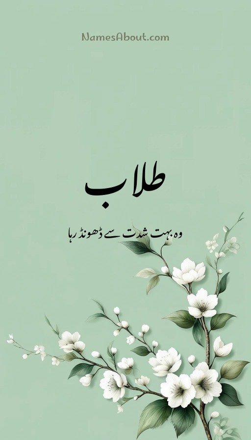 طلاب