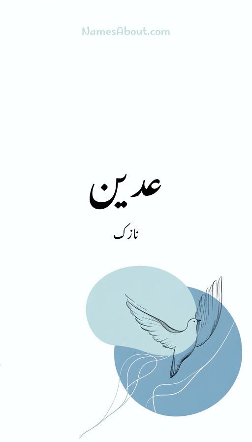 عدین