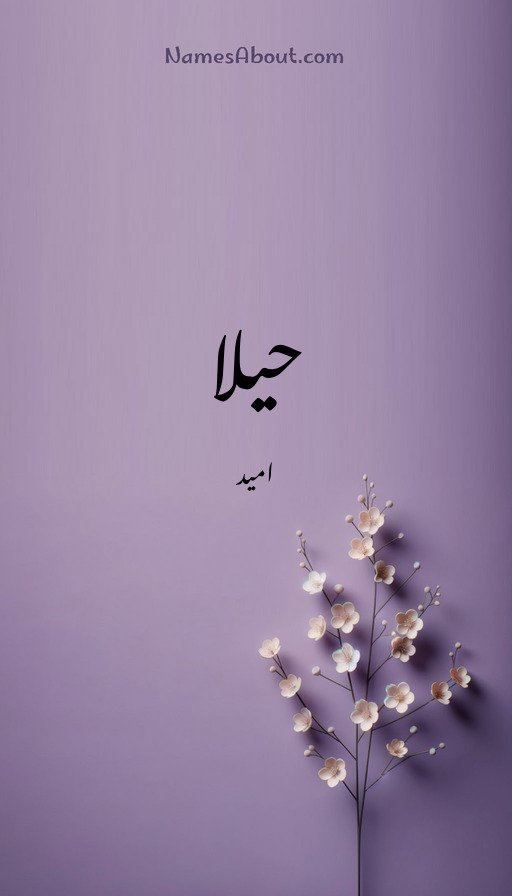 حیلا