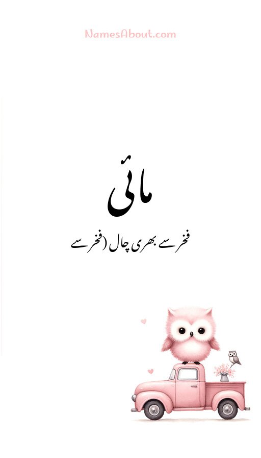 مائی