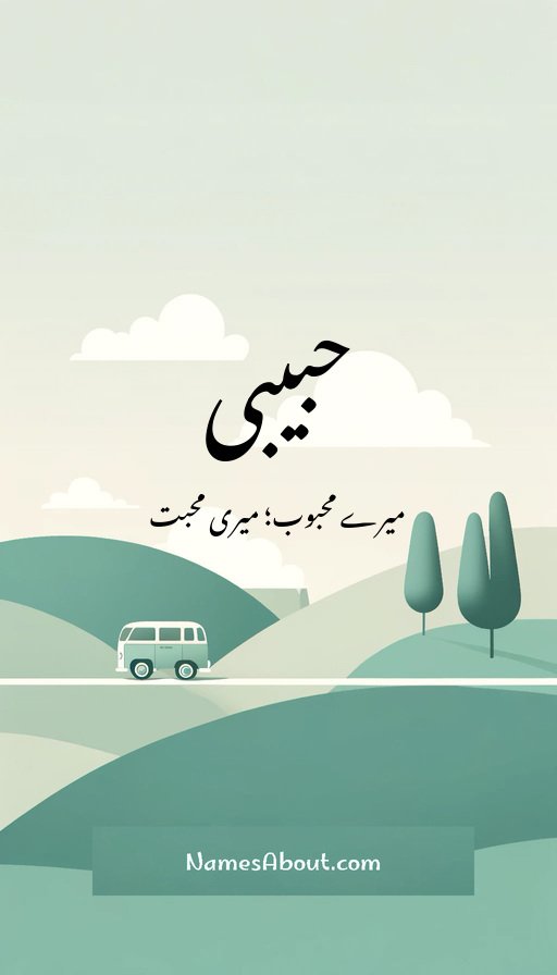حبیبی