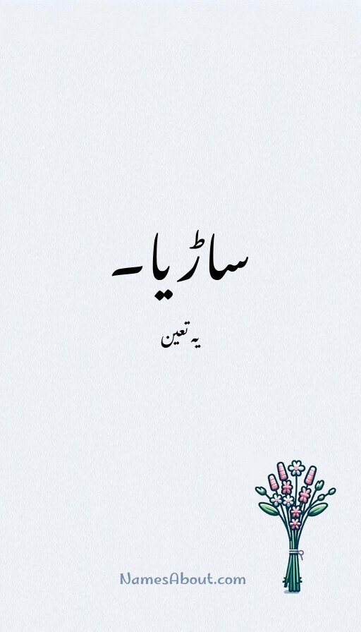 ساڑیا۔