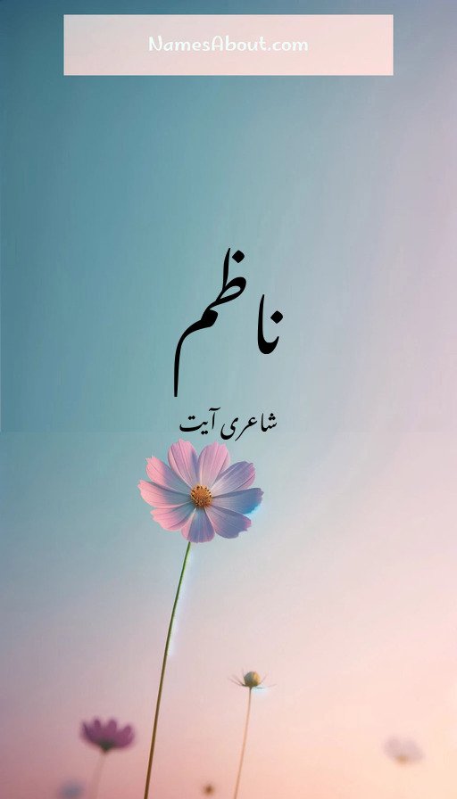 ناظم